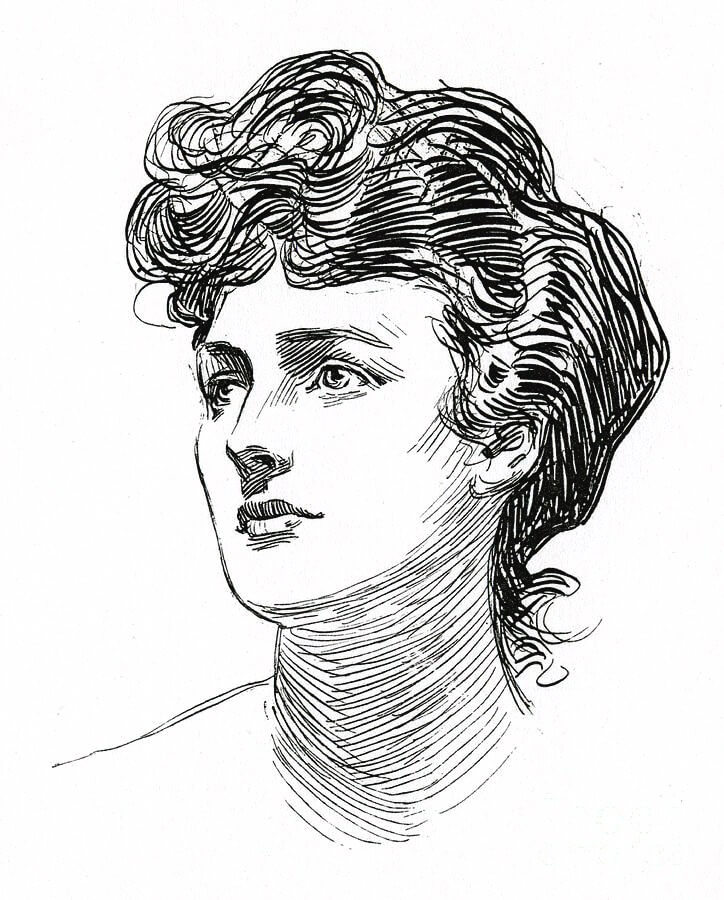Gibson Girl haar