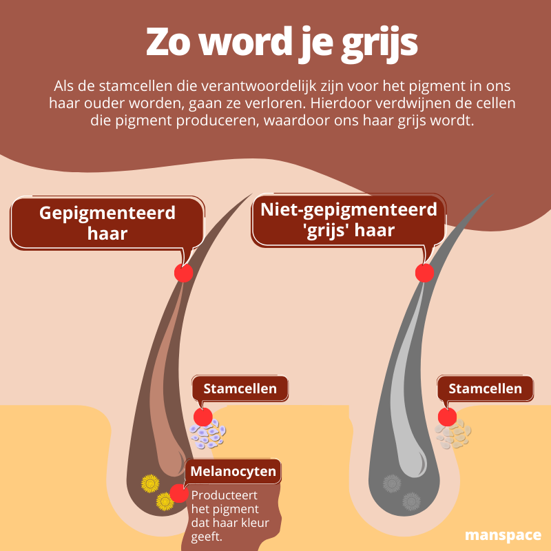 Zo ontstaat grijs haar